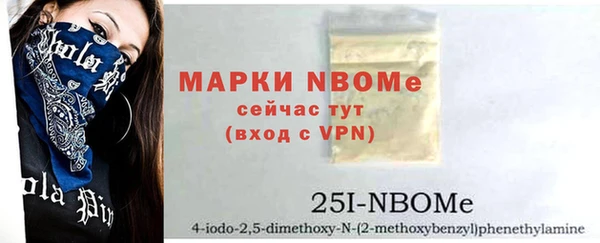 шишки Богородск