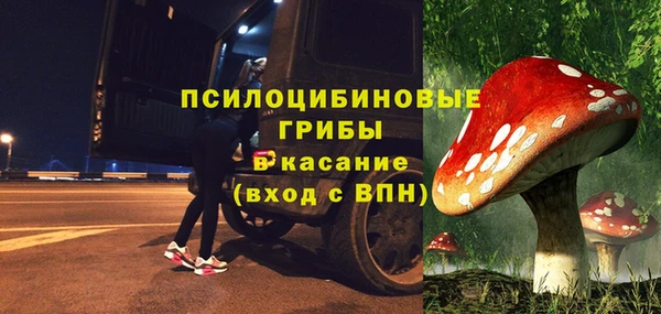шишки Богородск