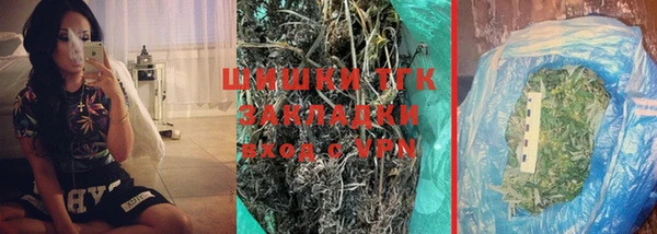 шишки Богородск