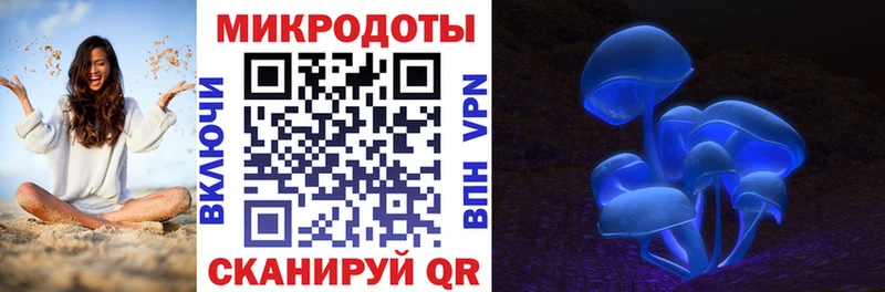 сайты даркнета официальный сайт  как найти   Балашов  Галлюциногенные грибы Psilocybe 